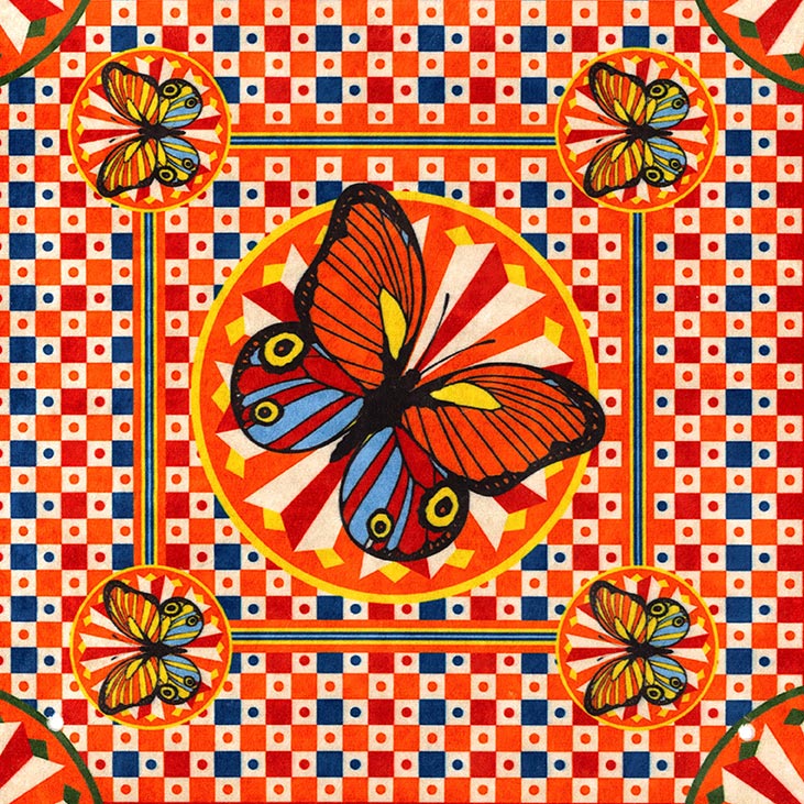 Ciao Bella Butterfly Orange  (30cm x 30cm)